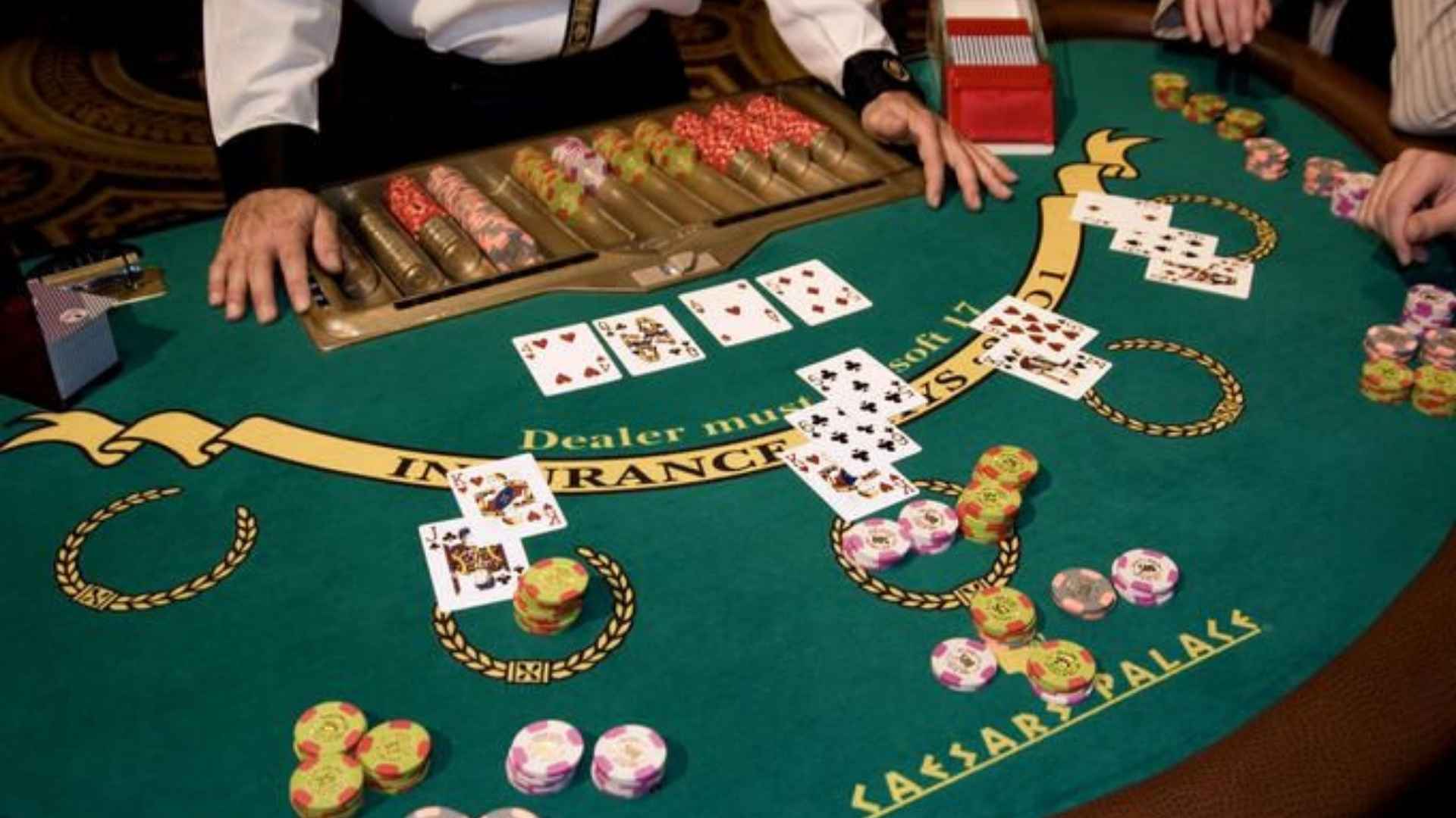 Bridge Games And The Psychology Of Performance